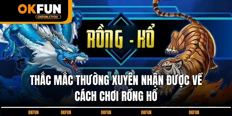 thac-mac-thuong-xuyen-nhan-duoc-ve-cach-choi-rong-ho