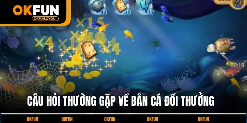 cau-hoi-thuong-gap-ve-ban-ca-doi-thuong