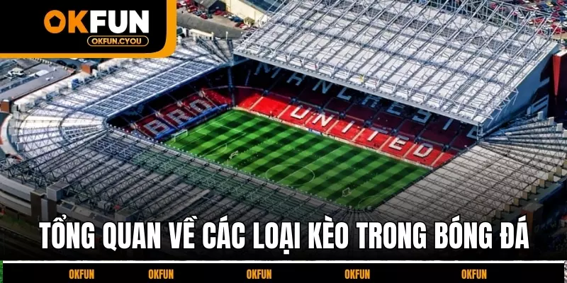 tong-quan-ve-cac-loai-keo-trong-bong-da