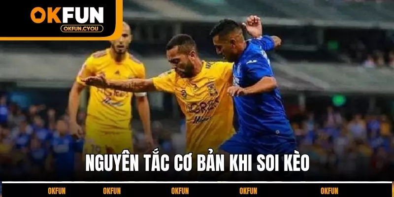 nguyen-tac-co-ban-khi-soi-keo