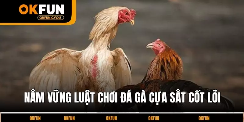 nam-vung-luat-choi-da-ga-cua-sat-cot-loi