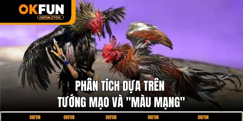 phan-tich-dua-tren-tuong-mao-va-mau-mang