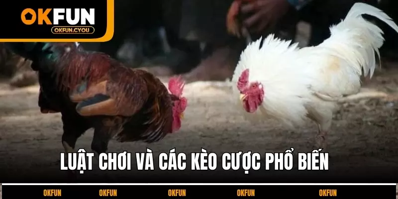 luat-choi-va-cac-keo-cuoc-pho-bien